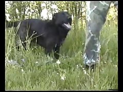Animated Furry Horse Porn