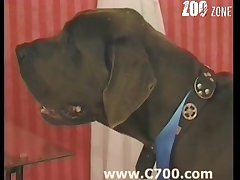 3d Anime Dog Porn