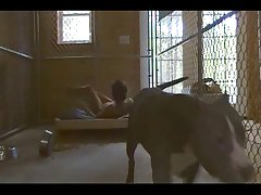 Dog Penis Gay Porn
