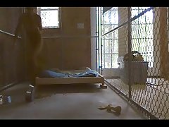Dog Penis Gay Porn