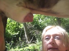 Mastiff Dog Porn