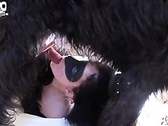 Dog Anal Girl Porn