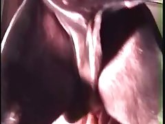 Making Dog Cum Porn