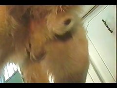 Dog French Kiss Porn
