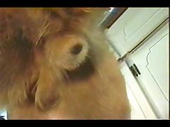 Dog French Kiss Porn