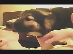 Female Dog Cumming Porn