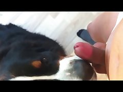Animal Anime Sex