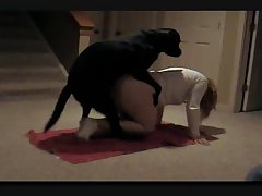 Horse Bitch Porn