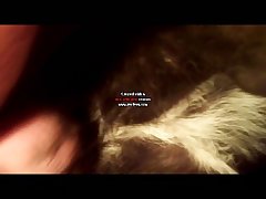 Animal Sex Machine