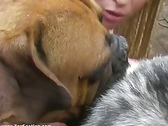 Dog Cock Hypno Porn