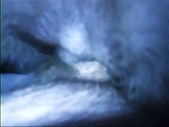 Guy Fuck Dog Pussy Porn
