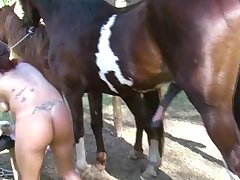 Yiff Horse Porn