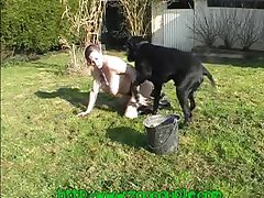 Gay Dog Fucks Man Porn