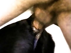 Fucking A Small Dog Porn