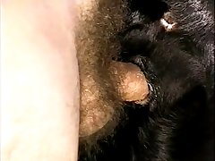 Fucking A Small Dog Porn