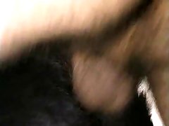 Katty West Dog Porn