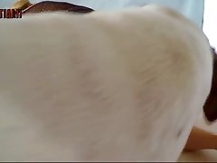 Shemale Fuck Dog Porn