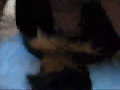 Horse Fucks Girls Porn
