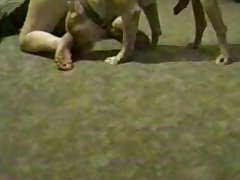 Horse Tongue Porn