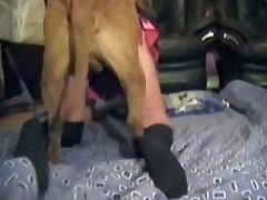Horse Papo Porn