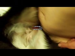 Huge Ass Dog Porn