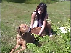 Ben 10 Gwen Dog Porn