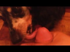 Dog Humps Porn