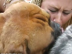 Man Fucking Dog Pussy Porn