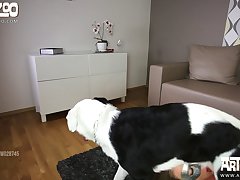 Big Fuck Dog