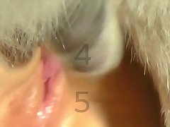 Small Girl Fuck Dog