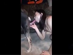Making A Horse Cum Porn