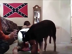 Dog Knot Cartoon Porn