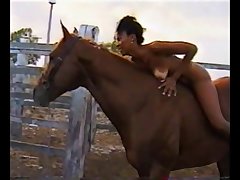 Guy Raping Dog Porn