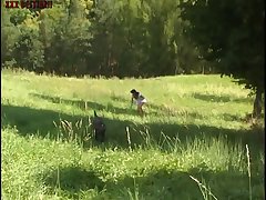 Animal Kingdom Gay Sex