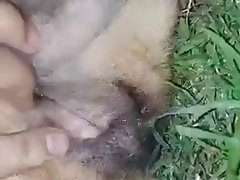 Zoophile Horse Porn