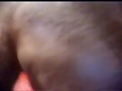 Farm Animal Sex