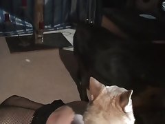 Women With Animal Sex