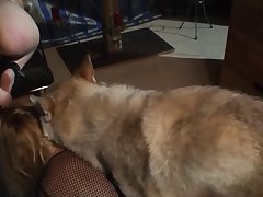 Women With Animal Sex