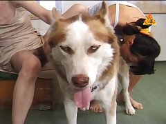 Videos De Zoofilia Con Caballos