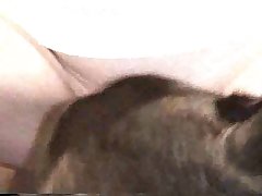 Female With Dog Porn