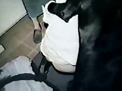 Dog Fuck Porn Knot