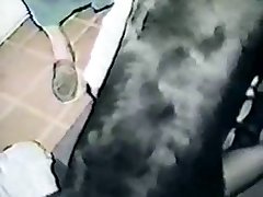 Dog Fuck Porn Knot