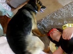 Zoofilia Com Javali