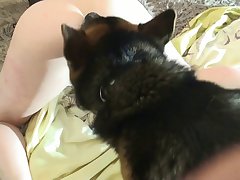 Zoofilia Com Javali