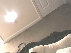 Animal Sex New Hd