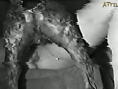 Male Dog Woman Porn