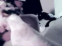 Dog Porn Quora