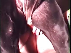 Zoofilia Porno 2023
