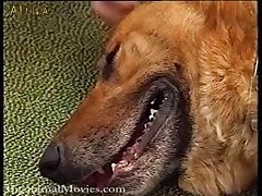 Woman Making Out With Dog Porn