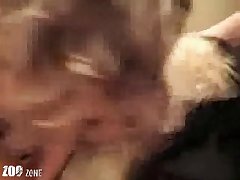 Is Sex With Animal Legal
